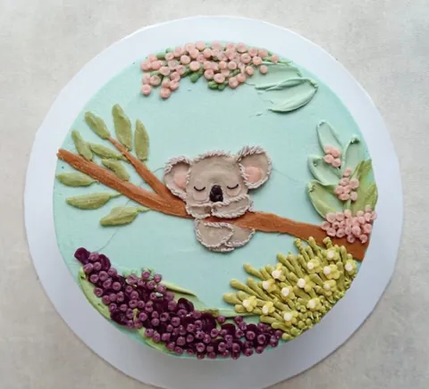 Cute Koala, a Fig & Owl cake
