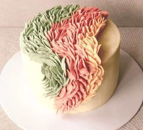 Parakeet, a Fig & Owl cake