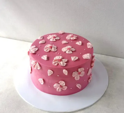 Scarlet, a Fig & Owl cake